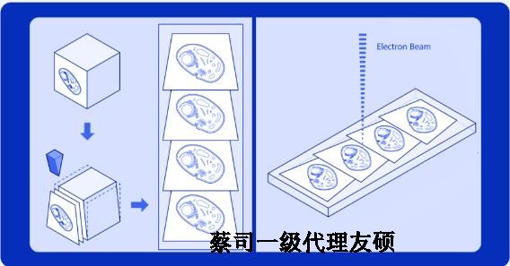 武清蔡司武清扫描电镜