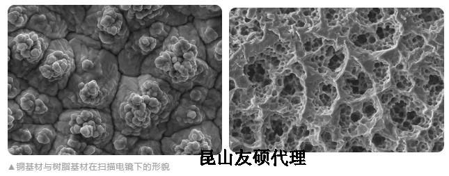 武清蔡司武清扫描电镜