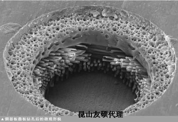 武清蔡司武清扫描电镜